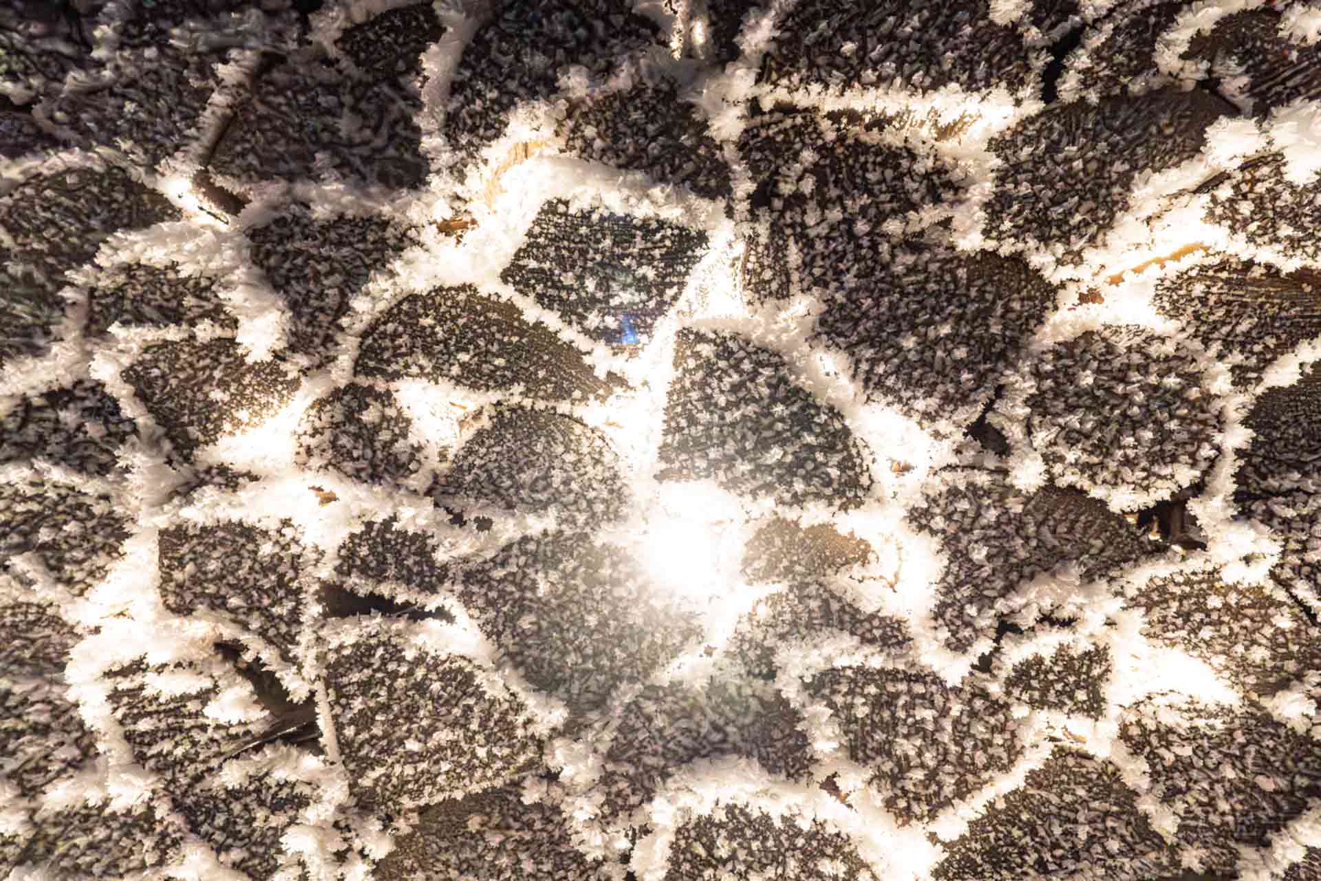 94 m³/h: close-up of light between logs